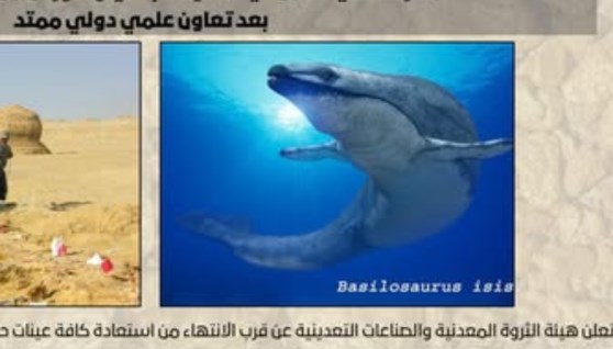 حوت الباسيلوسورس إيزيس