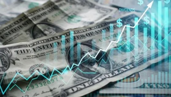سعر الدولار 