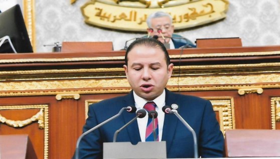  النائب حسن عمار، عضو مجلس النواب 
