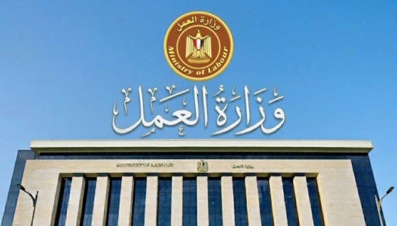 وزارة العمل المصرية 