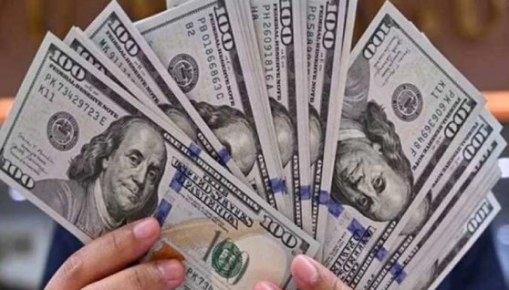 سعر الدولار 