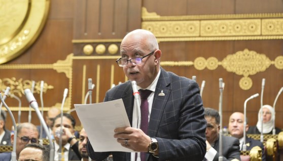 النائب المهندس حازم الجندي