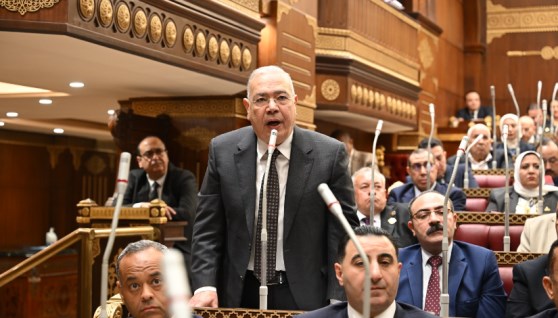النائب الدكتور عصام خليل، عضو مجلس الشيوخ