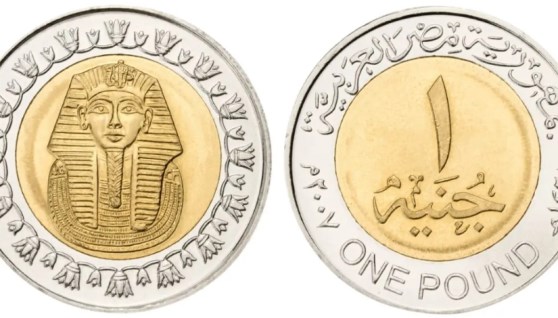 أرشيفية 