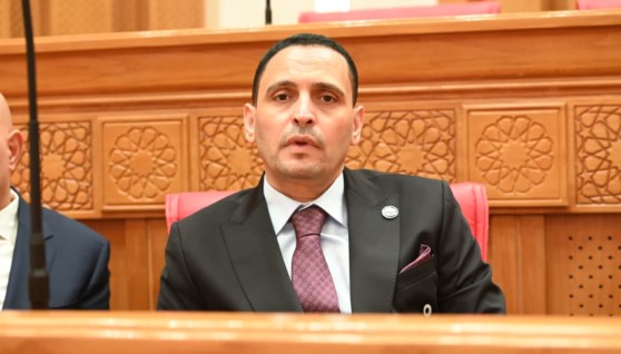  النائب إسلام التلواني