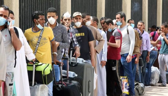العمالة المصرية بالخارج
