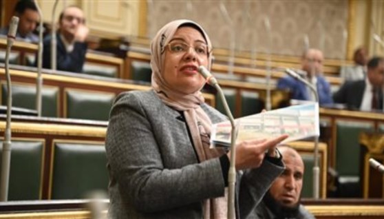 النائبة ريهام عبد النبي