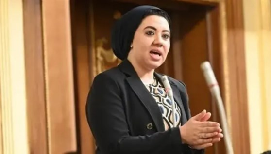 النائبة أميرة صابر