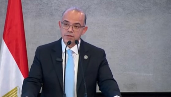  الدكتور محمد فريد، وزير الاستثمار والتجارة الخارجية