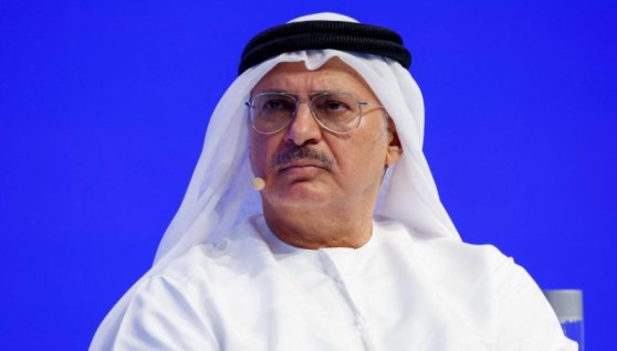 أنور قرقاش