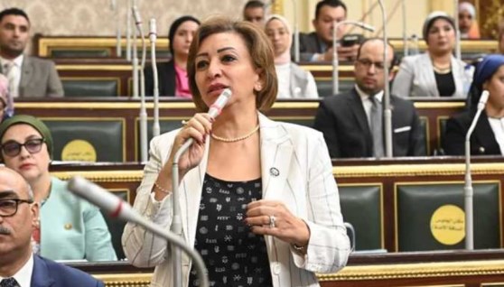 النائبة مها الطرهوني