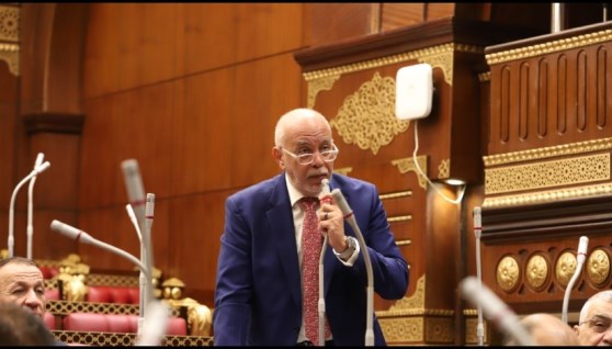 المهندس حازم الجندي- عضو مجلس الشيوخ