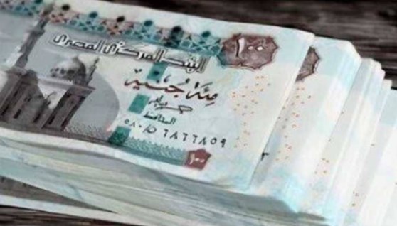منحة عيد العمال- تعبيرية