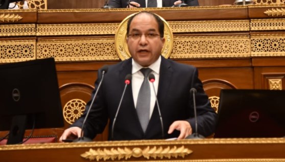 النائب عادل اللامعي عضو مجلس النواب 