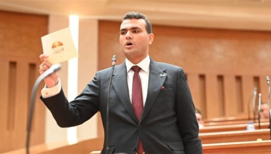 النائب حسين هريدي عضو مجلس النواب 