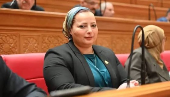 النائبة مروة حسان عضو مجلس النواب 