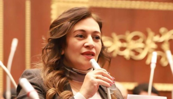 النائبة نيفين فارس عضو مجلس الشيوخ 