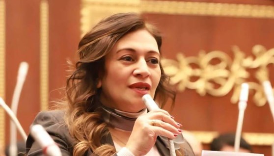 النائبة نيفين فارس 