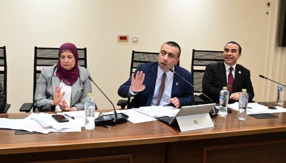 صناعة النواب 