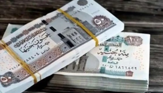 موعد صرف معاشات مايو 