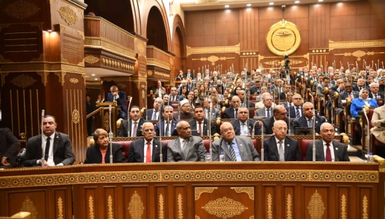 مجلس الشيوخ