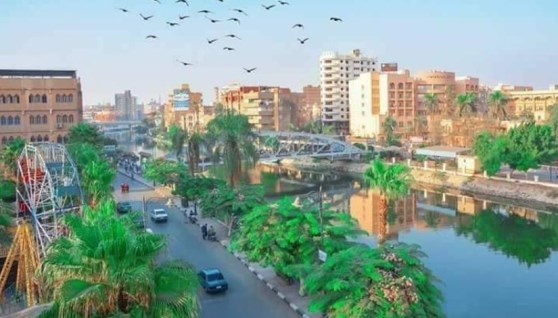 مدينة شبين الكوم