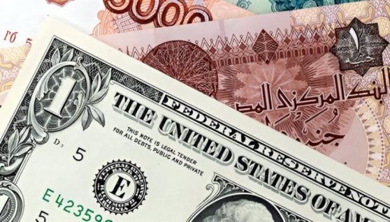 سعر الدولار االيوم