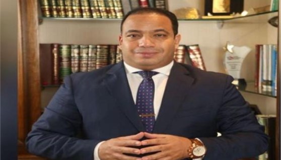 الدكتور عبد المنعم السيد