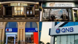 بنوك خاصة