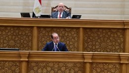 وزير المالية أمام مجلس النواب