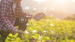 التحول الرقمي في الزراعة