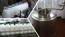 مراكز تجميع الألبان