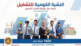 نشرة وزارة العمل 