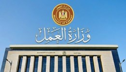 وزارة العمل المصرية 
