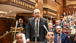 النائب الدكتور عصام خليل، عضو مجلس الشيوخ
