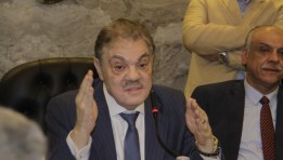 الدكتور السيد البدوى
