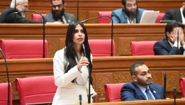 النائبة هايدي المغازي