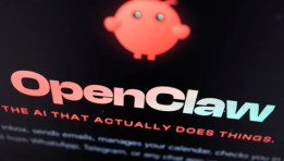  منصة OpenClaw