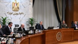مجلس الوزراء