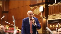 المهندس حازم الجندي- عضو مجلس الشيوخ