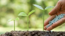 الأسمدة الفوسفاتية
