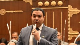  النائب إسماعيل الشرقاوي عضو مجلس الشيوخ