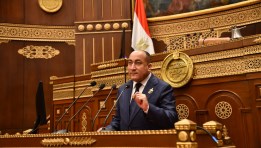 النائب عمرو رشاد