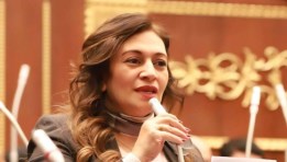 النائبة نيفين فارس 
