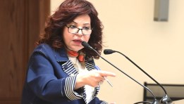 النائبة آمال عبد الحميد 