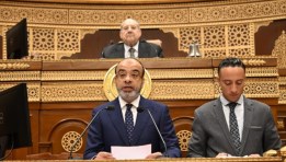 النائب محمد عبد الفضيل