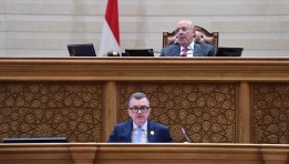 مجلس النواب 