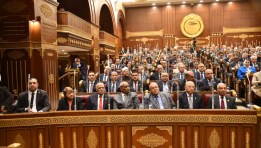 مجلس الشيوخ