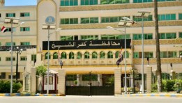 محافظة كفر الشيخ- أرشيفية