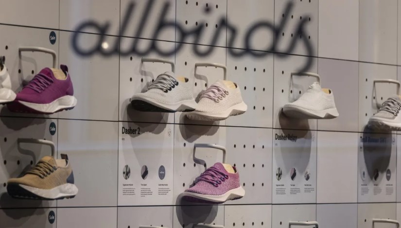 شركة ألبيردس – Allbirds